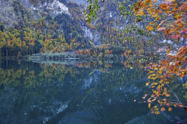 Autumn-colored forest is reflected in Lake Klöntal, Canton of Glarus, Switzerland