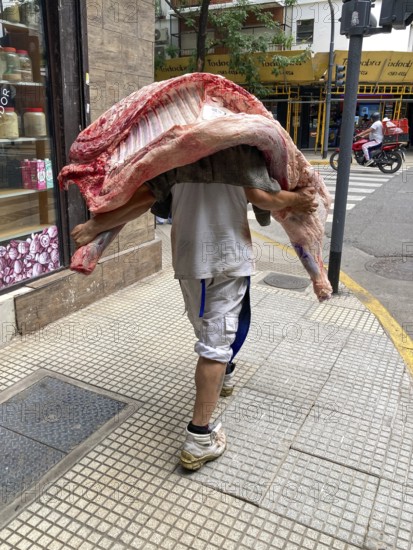 Man carries half of a cow on his shoulder. Beef is an important foodstuff in Argentina and is delivered and then cut into individual pieces in the shop. Buenos Aires, Argentina