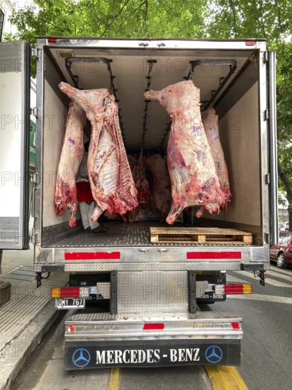 Mercedes refrigerated van with beef halves, half beef, beef, delivering in the city of Buenos Aires, Argentina
