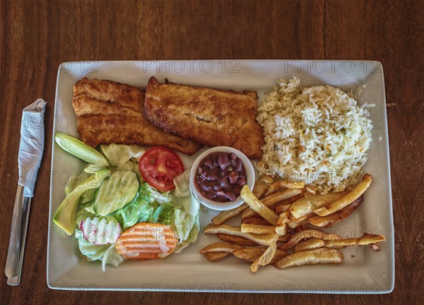Plate of fried fish fillet with salad and french fries on wooden table, Top view of delicious fried fish fillet with french fries, rice and salad served on wooden table. Gourmet food plate