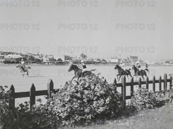 Horse riders playing polo game, Malta Polo Club, Marsa, Malta, Europe 1956