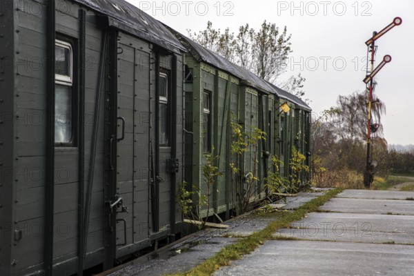 Old ice railway wagons at the former Bresewitz station, near Zingst, Mecklenburg-Western Pomerania, Germany
