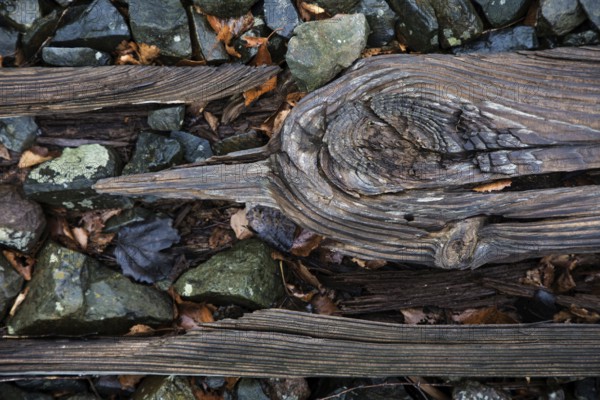 Old weathered railway threshold, detail photo, near Bresewitz station, near Zingst, Mecklenburg-Western Pomerania, Germany