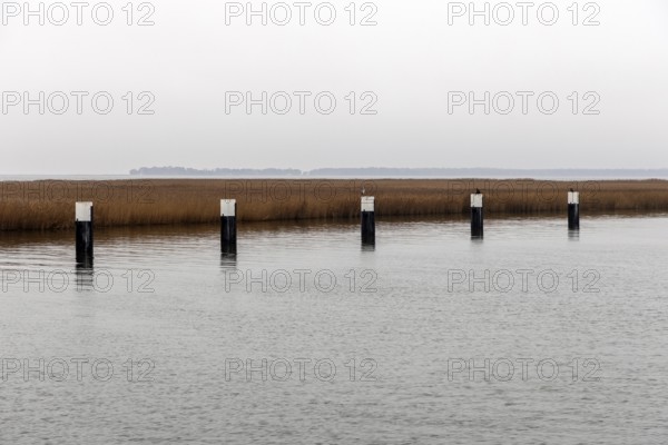 Lagoon area at the Meinigenbrücke near Zingst, Fischland-Darß-Zingst, Western Pomerania Lagoon Area National Park, Mecklenburg-Western Pomerania, Germany