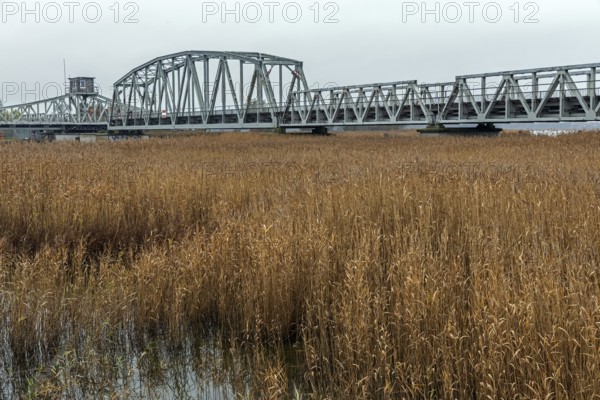 Meiningenbrücke, connection on Fischland-Darß-Zingst, Vorpommersche Boddenlandschaft National Park, Baltic Sea, Mecklenburg-Western Pomerania, Germany
