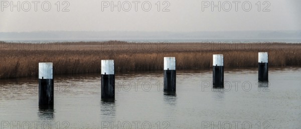 Lagoon area at the Meinigenbrücke near Zingst, panorama, Fischland-Darß-Zingst, Western Pomerania Lagoon Area National Park, Mecklenburg-Western Pomerania, Germany