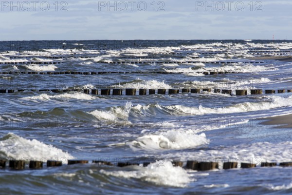 Groows in the sea, people on the beach, Zingst, Fischland-Darß-Zingst, Western Pomerania National Park, Mecklenburg-Western Pomerania, Germany
