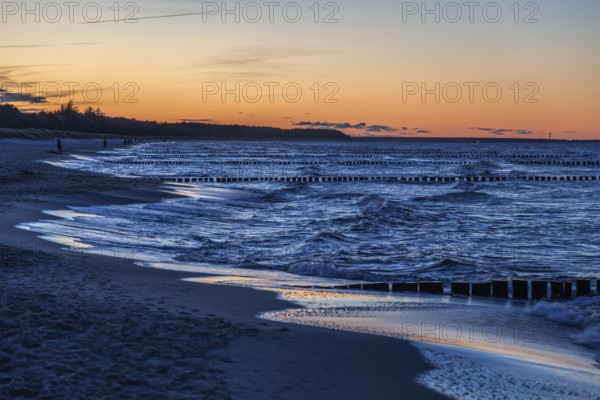 Beach and groves in the sea, evening light, sunset, Zingst, Fischland-Darß-Zingst, Western Pomerania Lagoon Area National Park, Mecklenburg-Western Pomerania, Germany