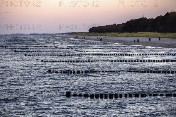 Beach, grooms in the sea, people on the beach, evening light, Zingst, Fischland-Darß-Zingst, Western Pomerania National Park, Mecklenburg-Western Pomerania, Germany