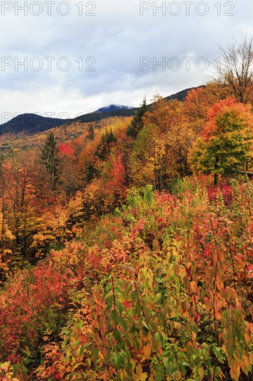 Scenic View, Fall Leaves, Indian Summer, Sugar Hill Observation Deck, Kancamagus Highway, White Mountain, New Hampshire, New England, USA