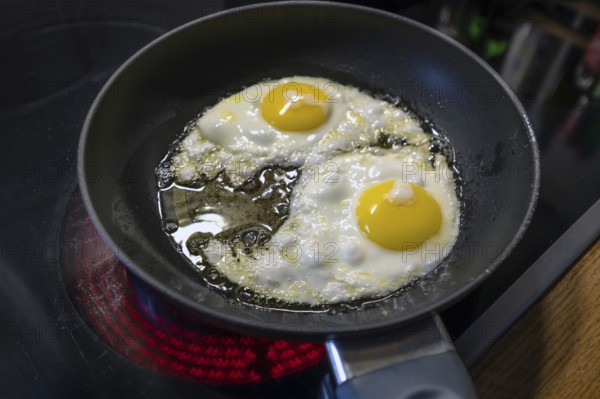 Two fried eggs in a pan on the stove, Bavaria, Germany
