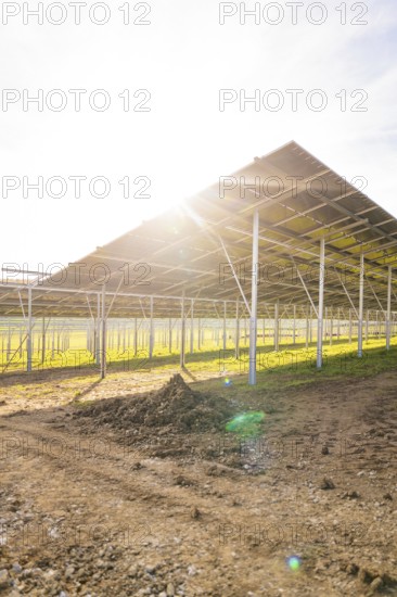 Underside of a solar panel with intense sunlight over a field, Energiewende, construction of PV open space, Baden-Württemberg, Germany