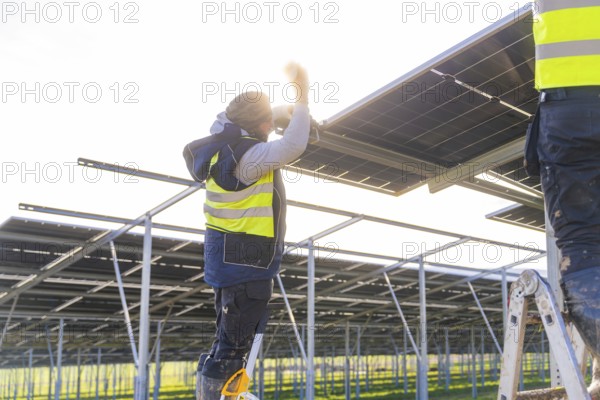Worker installing solar panels in sunlight on metal frame, Energiewende, construction of PV open space, Baden-Württemberg, Germany