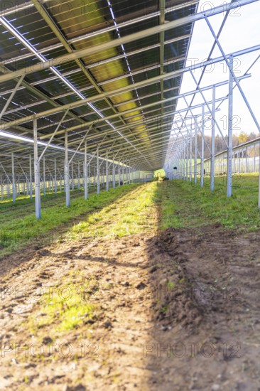 Sunlight floods the ground under solar modules, Energiewende, construction of PV open space, Baden-Württemberg, Germany