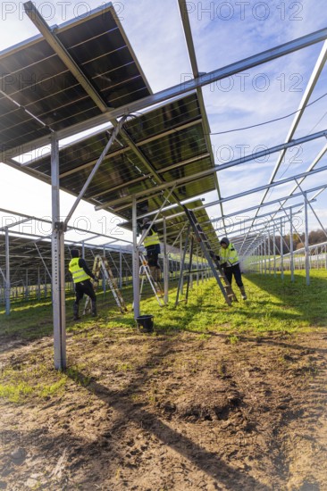 Workers install solar panels in a meadow, energy revolution, construction of PV open space, Baden-Württemberg, Germany