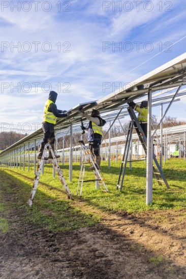Workers install solar system in fields with ladders and safety equipment, Energiewende, construction of PV open space, Baden-Württemberg, Germany