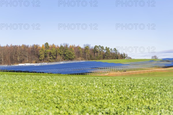 Solar panels in a field next to a forest, under clear skies, Energiewende, construction of PV open space, Baden-Württemberg, Germany
