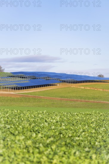 An extensive landscape with solar panels under clear, blue sky, energy revolution, construction of PV open space, Baden-Württemberg, Germany