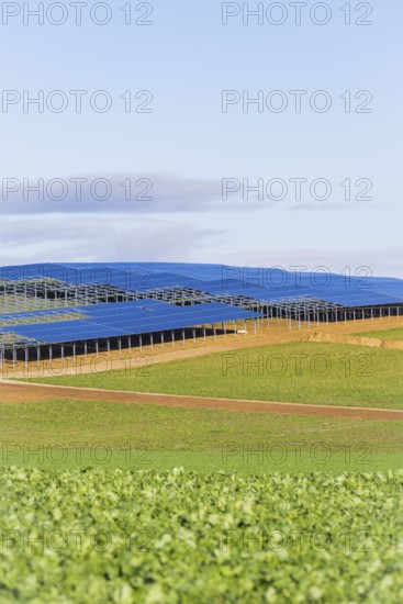 Solar panels in a large field under blue sky, Energiewende, construction of PV open space, Baden-Württemberg, Germany