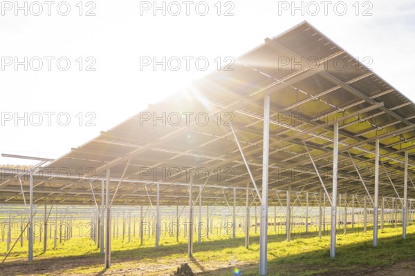 Side view of solar panel structure in strong sunshine on green field, Energiewende, construction of PV open space, Baden-Württemberg, Germany