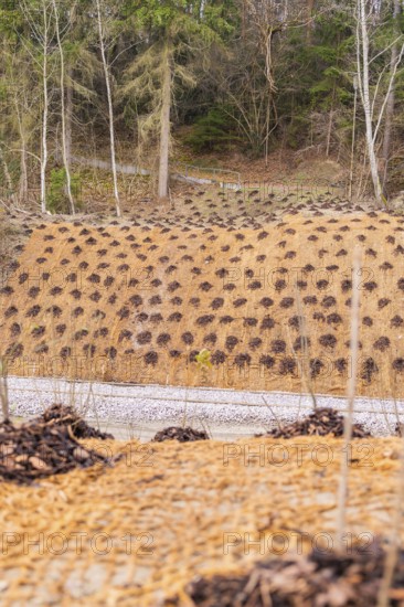 Slope protected from a wooded landscape with a protective net and plants, construction of the Hermann Hesse Railway, Calw, Germany