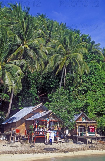 Bamboo huts under palm trees on Ko Phi Phi Don beach, two years in front of the tsunami, Thailand, December 2002, vintage, retro, old, historic