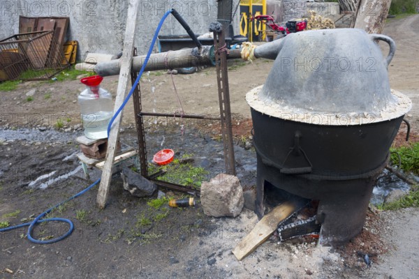 Temporary distillation plant with fireplace and metal container, production of schnapps, Sameba, Kvemo Kartli region, Lower Kartli, Georgia