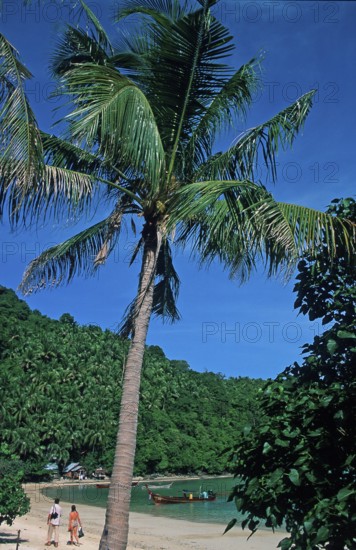 People, palm tree on the beach of Ko Phi Phi Don, two years in front of the tsunami, Thailand, December 2002, vintage, retro, old, historic