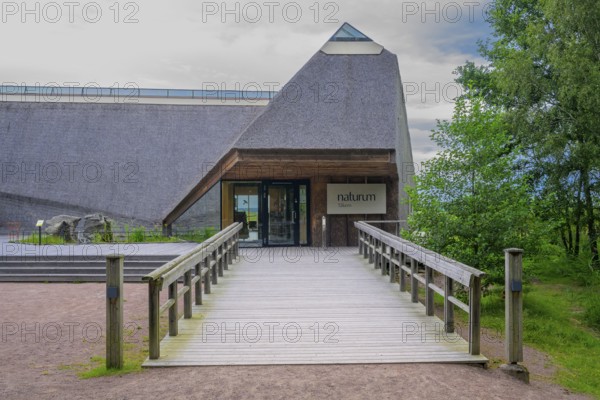 Entrance to the Naturum Nature Conservation Information Center at Vogelsee Tåkern, modern building with pitched roof made entirely of reed thatch next to a large reed tree, Tåkern, Vadstena, Östergötalands Län, Sweden