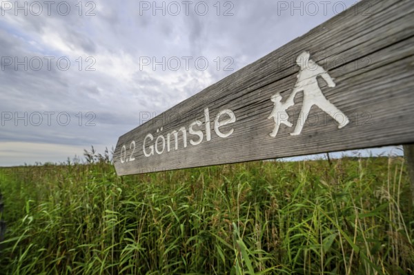 Wooden signpost shows a hiking trail through the reed areas, Tåkern, Vadstena, Östergötalands Län, Sweden