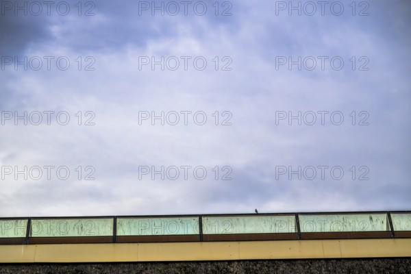 Naturum Nature Conservation Information Center at Vogelsee Tåkern, modern building with pitched roof and glass gable made entirely of reed reed next to a large reed house, Tåkern, Vadstena, Östergötalands Län, Sweden