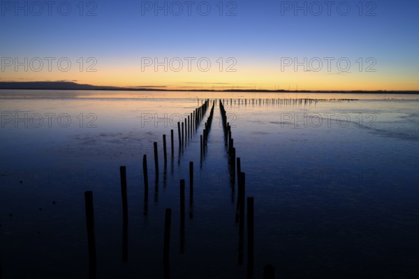 Wooden posts, boat dock posts run into water at sunset, quiet atmosphere, Dümmer See, Lembruch, Lower Saxony, Germany