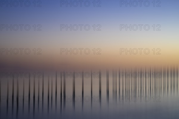 Eickhöpen, Lembruch, Lower Saxony, Germany, soft pastel long exposure with piles in fog over a calm body of water, Dümmer See, Lower Saxony, Germany