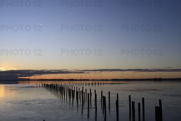 Row of posts over calm water at dusk, deep blue tones, wooden posts, boat dock posts run into the water at sunset, quiet atmosphere, Dümmer See, Lembruch, Lower Saxony, Germany