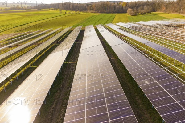 Consistent rows of solar panels on green land for energy generation, energy transition, construction of PV open space, Baden-Württemberg, Germany