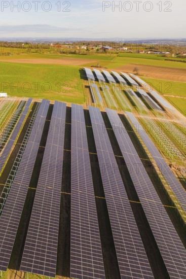 Rows of solar systems on green fields under clear skies, Energiewende, construction of PV open space, Baden-Württemberg, Germany