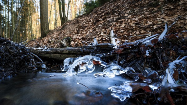 Close-up of blue icicles. Cool, frosty atmosphere reflecting the winter cold, Zwickenbach, Zwickenbachtal, Melle, Lower Saxony, Germany