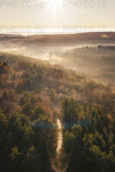 Sunrise over wooded hills with fog and colorful autumn leaves, Gechingen, Calw district, Germany