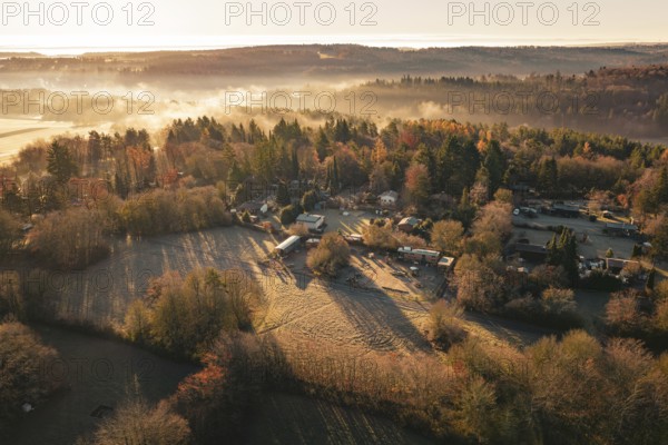 Foggy autumn landscape with village surrounded by trees and fields at sunrise, Gechingen, Calw district, Germany