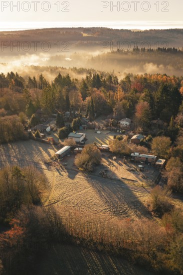 Village and surrounding fields in morning fog surrounded by trees at sunrise, Gechingen, Calw district, Germany