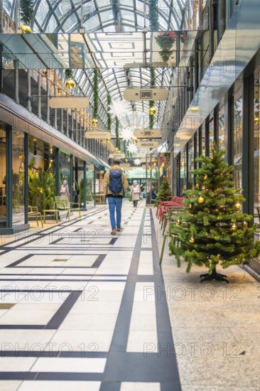 Modern shopping center with glass roof and Christmas trees in a festive atmosphere, Calwer Passage, Stuttgart, Germany