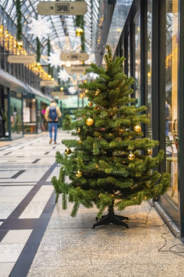 Small Christmas tree with lights in modern shopping arcade with glass roof, Calwer Passage, Stuttgart, Germany