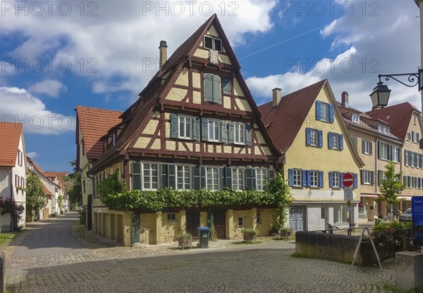 Half-timbered house, Altstadt, an der Ammer, climbing plant, paving stones, paper bin, sign, traffic sign, one-way street, Tübingen, Baden-Württemberg, Germany