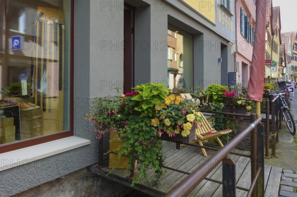 Shop entrance at the Ammer, floral decoration, typical scene, shopping street, planter with various perennials, old town, Tübingen, Baden-Württemberg, Germany