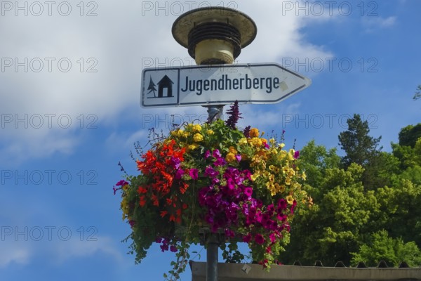 Flower decoration on street lamp, colorful blossoms, light, signpost, youth hostel, lettering, letters, sign, Tübingen, Baden-Württemberg, Germany