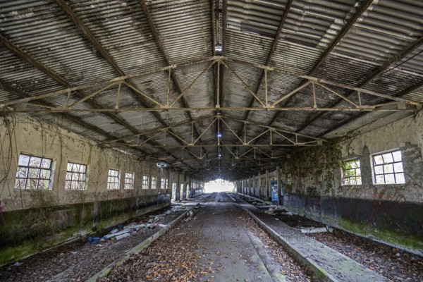 Abandoned hall with Grafity, dilapidated plant of a former agricultural production cooperative of the former GDR, LPG, Lost Place, Müggenburg, Fischland-Darß-Zingst, Western Pomerania National Park, Mecklenburg-Western Pomerania, Germany