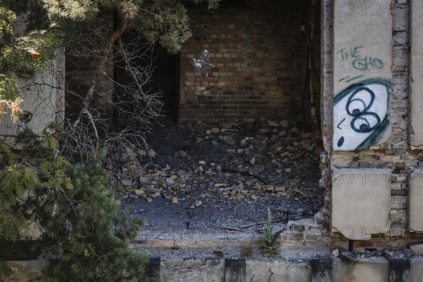 Ruins of the Women's Sanatorium, Lost Place, Heilstätten Beelitz, Brandenburg