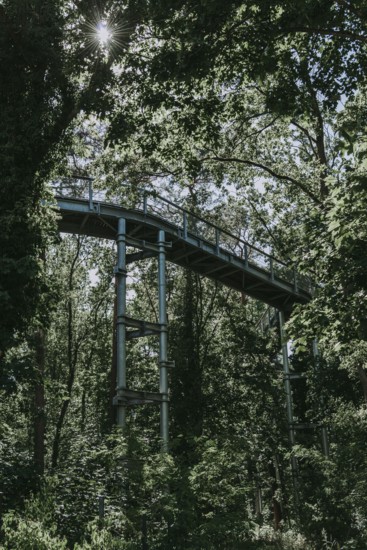 Lost Place, Treetop Trail of the Beelitz Heilstätten, Brandenburg