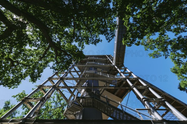 Lost Place, Treetop Trail of the Beelitz Heilstätten, Brandenburg