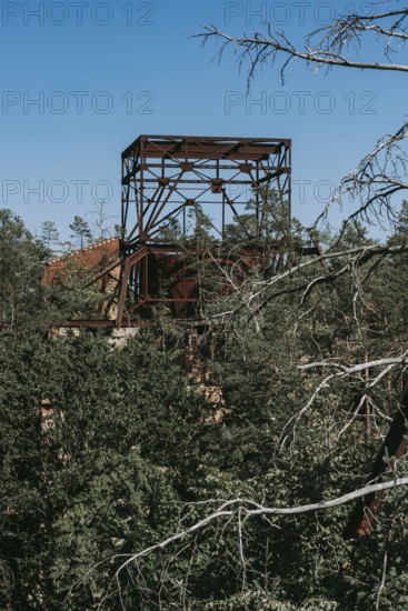 Ruins of the Women's Sanatorium, Lost Place, Heilstätten Beelitz, Brandenburg